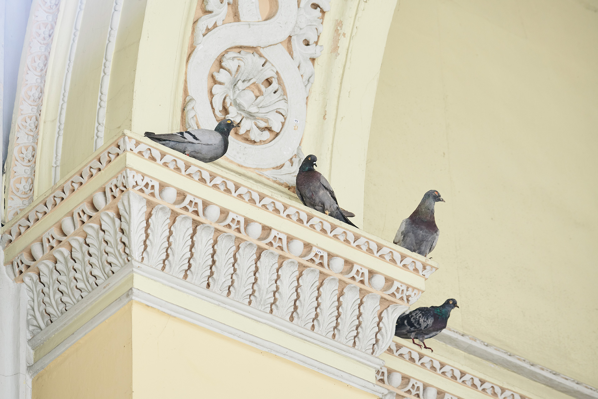 Others / Maurizio Cattelan / Blenheim Art Foundation 