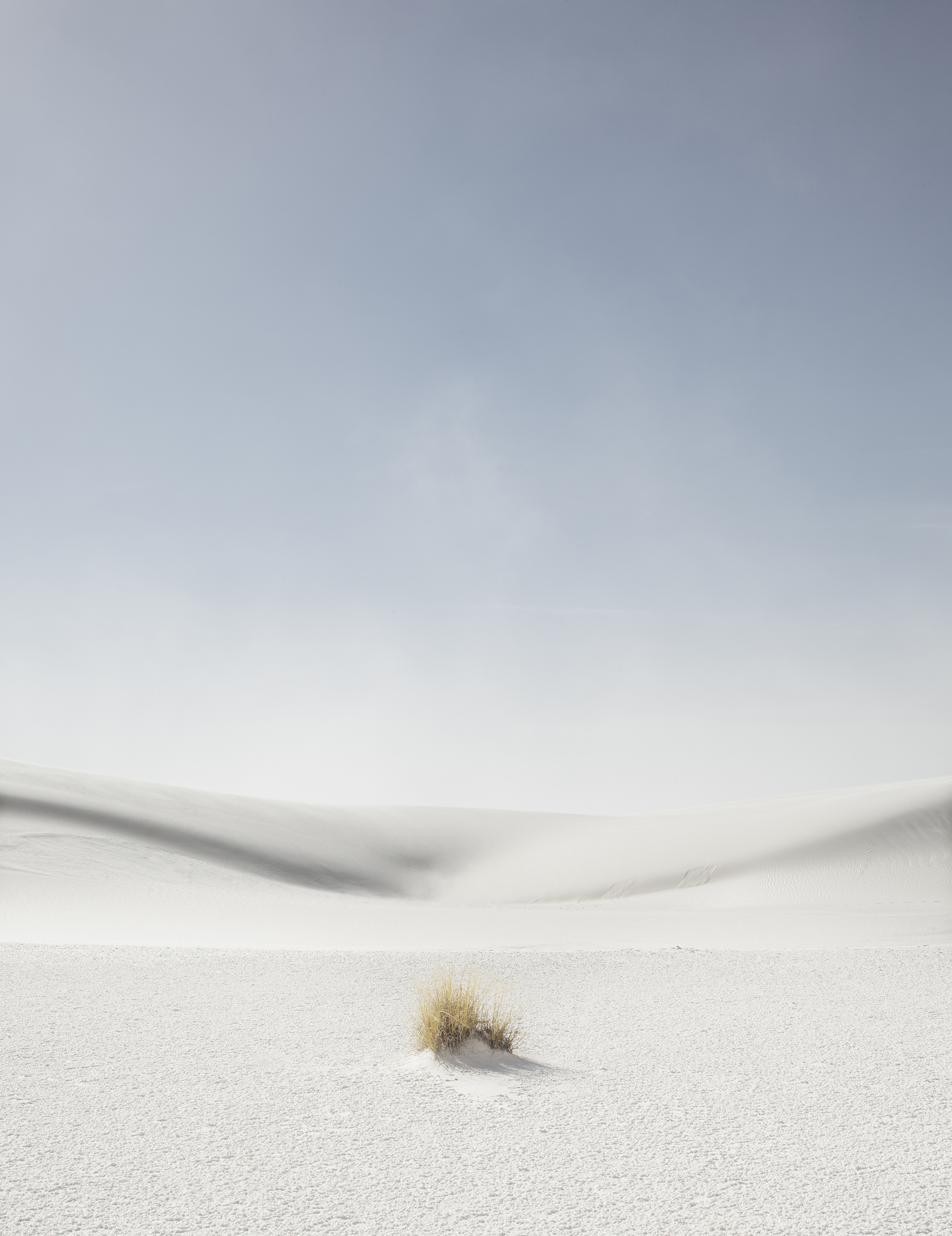 White Sands / New Mexico