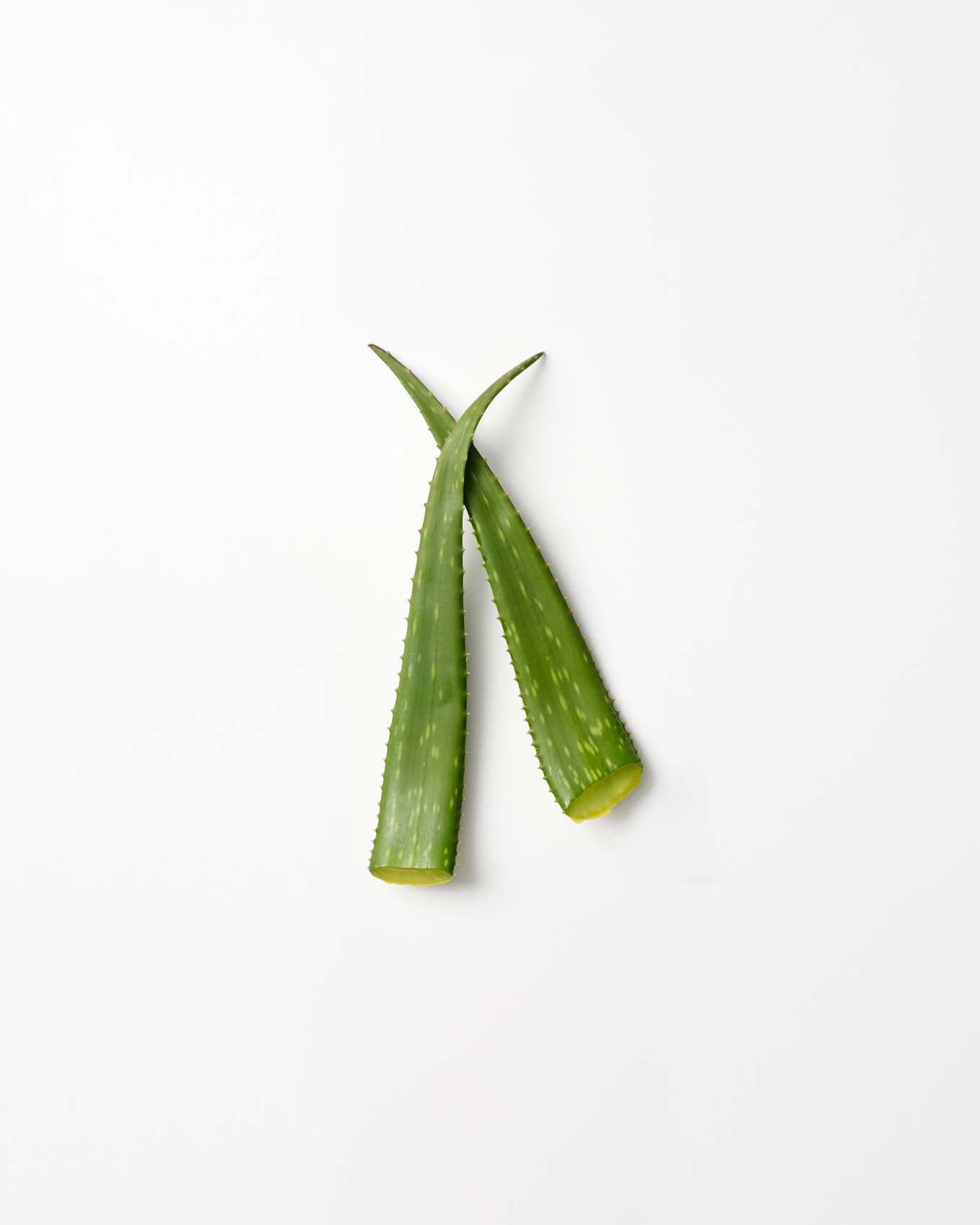 R_NYL-210422-81